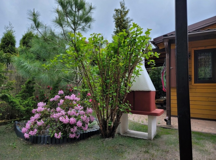 BEBE - Domki Letniskowe  ?v=1.0