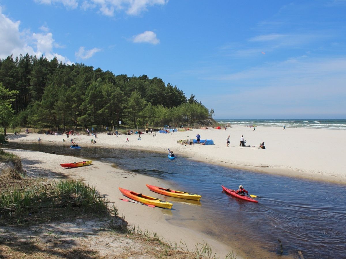 Kajaki na rzece Piaśnicy otoczonej sosnowym lasem